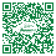 QR-код этой страницы