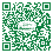 QR-код этой страницы