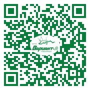 QR-код этой страницы