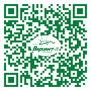 QR-код этой страницы