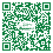 QR-код этой страницы