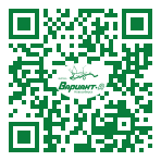 QR-код этой страницы