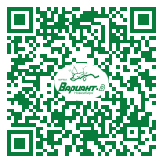 QR-код этой страницы