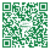 QR-код этой страницы