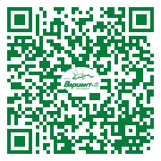 QR-код этой страницы