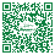 QR-код этой страницы