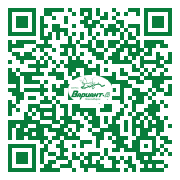 QR-код этой страницы