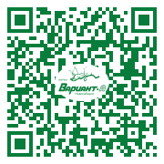 QR-код этой страницы