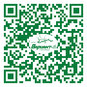 QR-код этой страницы