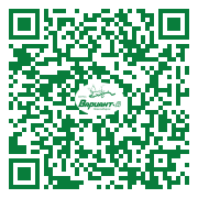 QR-код этой страницы