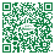 QR-код этой страницы
