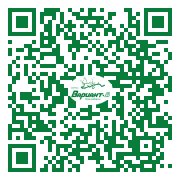 QR-код этой страницы