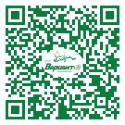 QR-код этой страницы