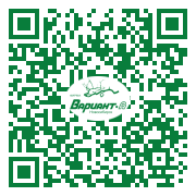 QR-код этой страницы