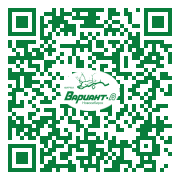 QR-код этой страницы