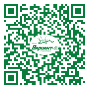 QR-код этой страницы