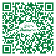 QR-код этой страницы