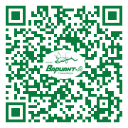 QR-код этой страницы