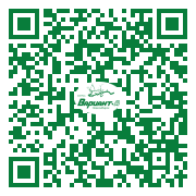 QR-код этой страницы