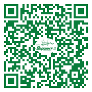 QR-код этой страницы