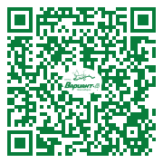 QR-код этой страницы