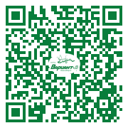 QR-код этой страницы