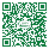 QR-код этой страницы