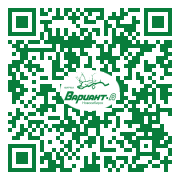 QR-код этой страницы