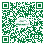 QR-код этой страницы