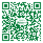 QR-код этой страницы