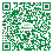 QR-код этой страницы