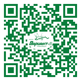 QR-код этой страницы