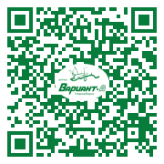 QR-код этой страницы