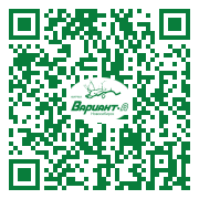 QR-код этой страницы