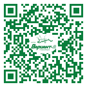 QR-код этой страницы