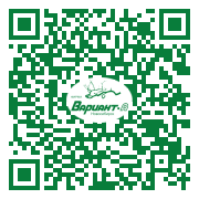 QR-код этой страницы