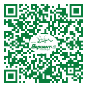 QR-код этой страницы