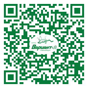 QR-код этой страницы