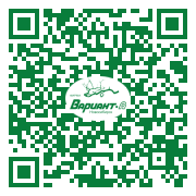 QR-код этой страницы