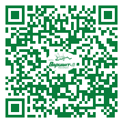 QR-код этой страницы