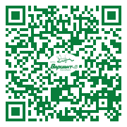 QR-код этой страницы