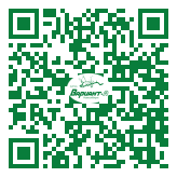 QR-код этой страницы