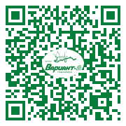 QR-код этой страницы