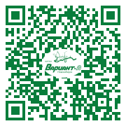 QR-код этой страницы