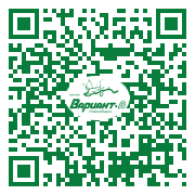 QR-код этой страницы