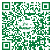 QR-код этой страницы