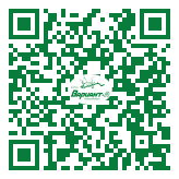 QR-код этой страницы