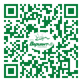 QR-код этой страницы