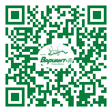 QR-код этой страницы