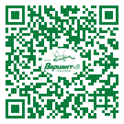 QR-код этой страницы